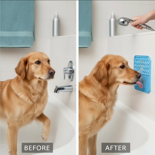 Tapis Lèche Silicone Chien